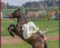 1AMAZONE- 0521